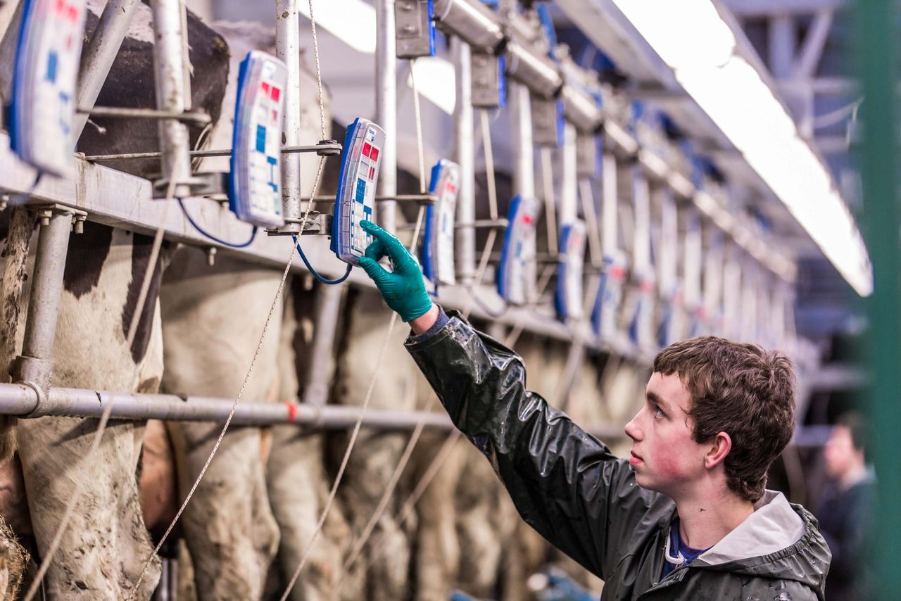 Latest UK milk production data shows significant fall