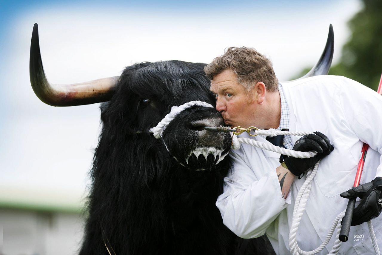 RHASS launches fundraising campaign to 'save' Royal Highland Show