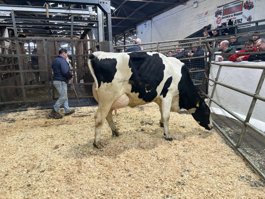 Prices reach 3,800gns at Taaffe Auctions’ monthly sale