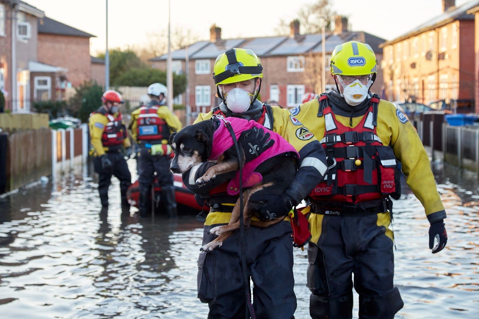 RSPCA flood response team put on standby as water rises - Agriland.co.uk