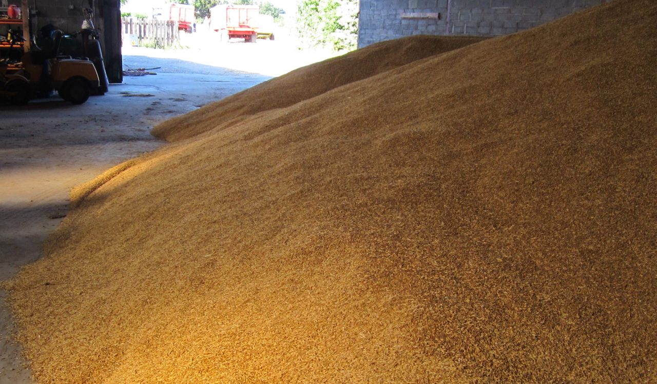 Glanbia and Dairygold release harvest 2016 grain prices