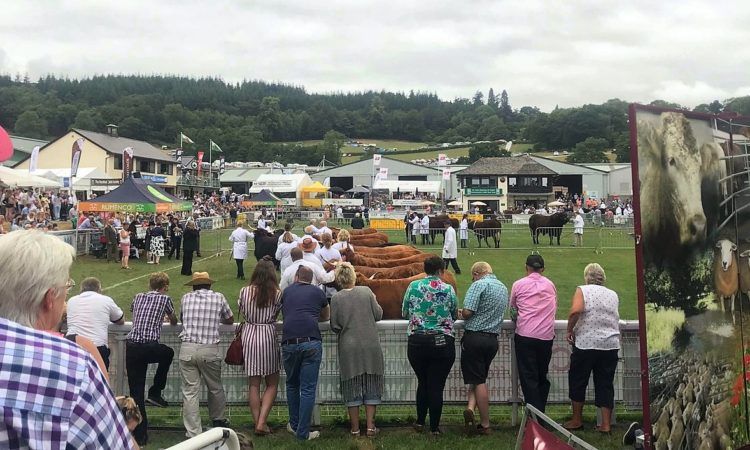 Royal Welsh Agricultural Show cancelled for 2021