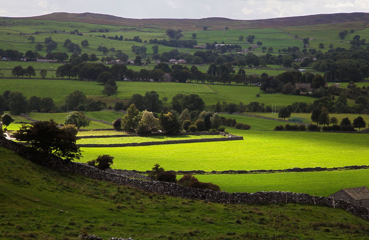 Farm orgs respond to SFI scheme announcements