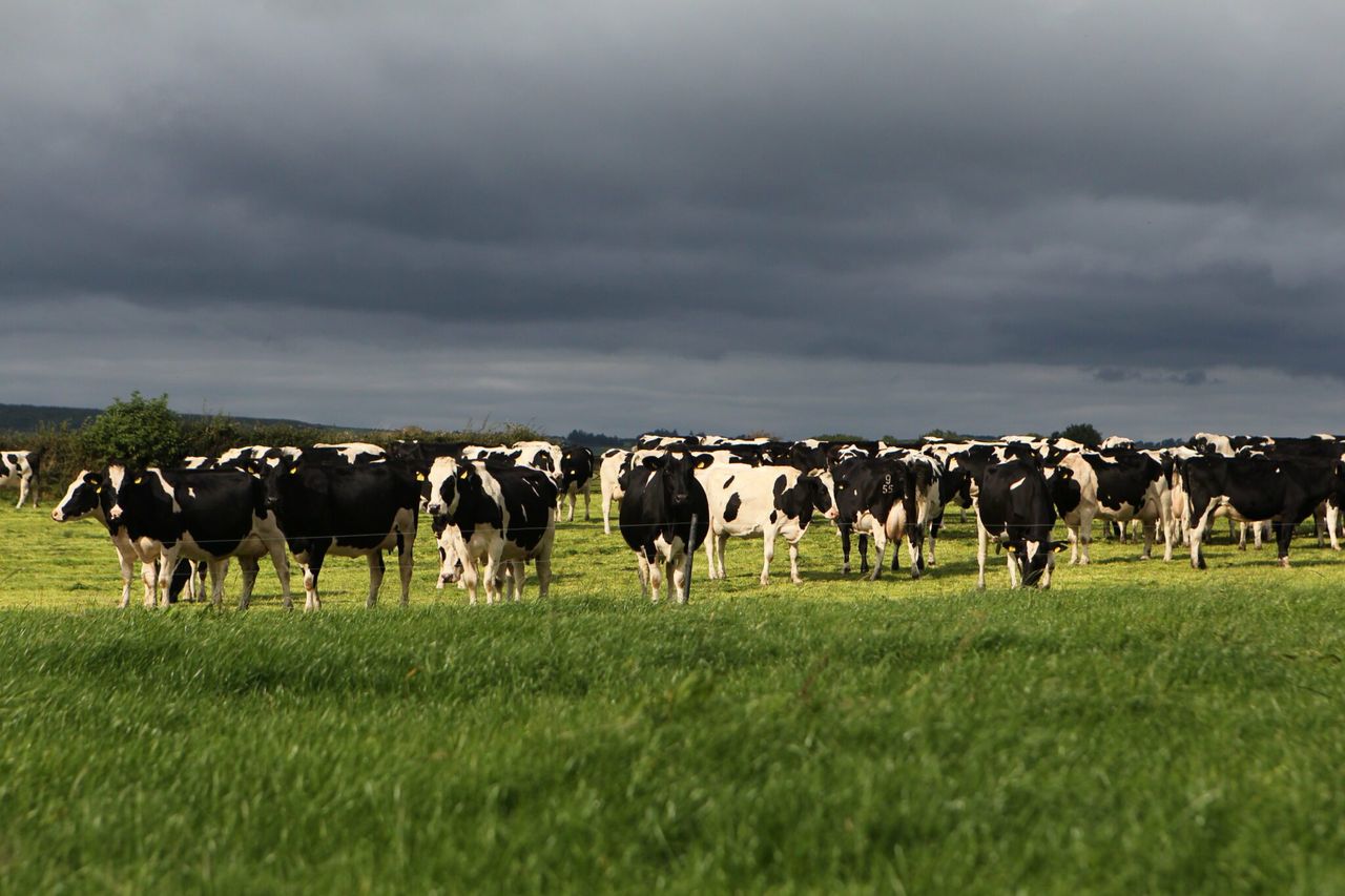 Northern food sector continues to grow, but farmers are losing out says UFU