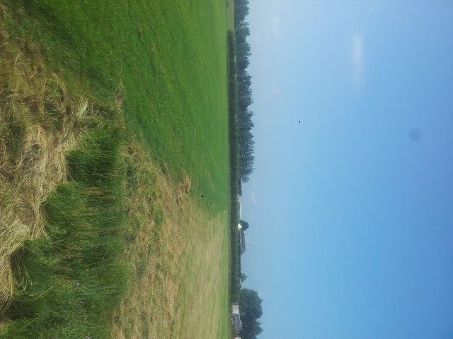 New grass varieties will constitute a ‘green’ flooding defence