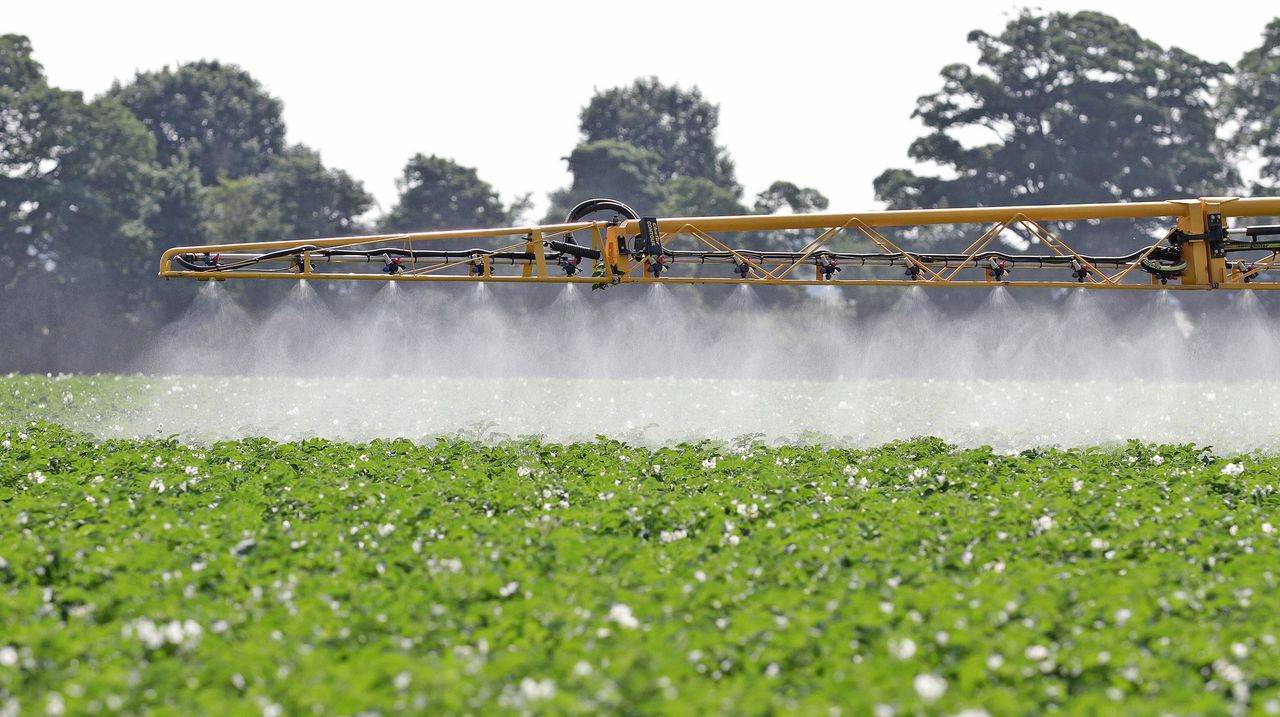 First major cross-sector review of weed control measures announced