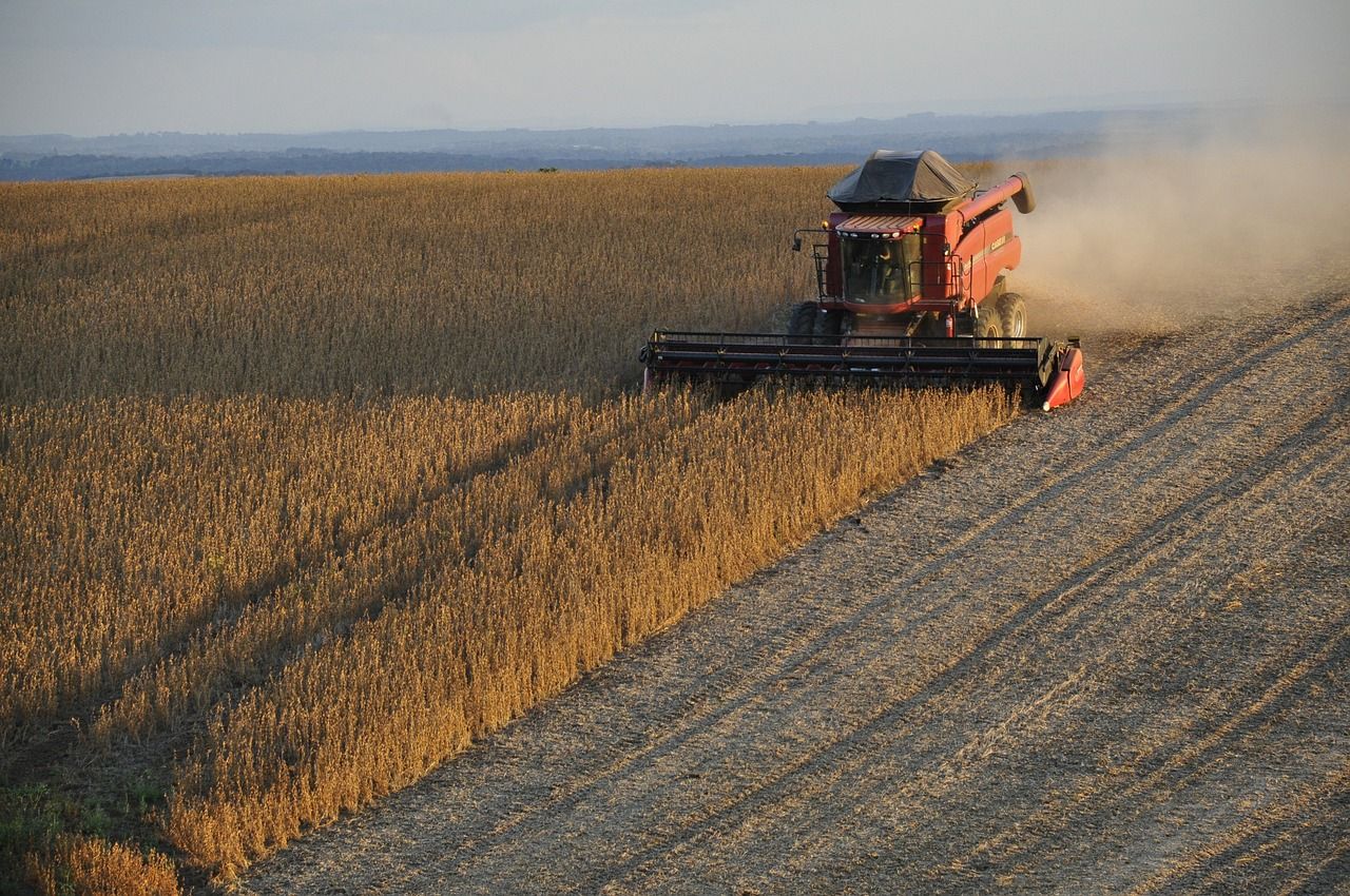Yields remain low as UK harvest 2026 nears completion