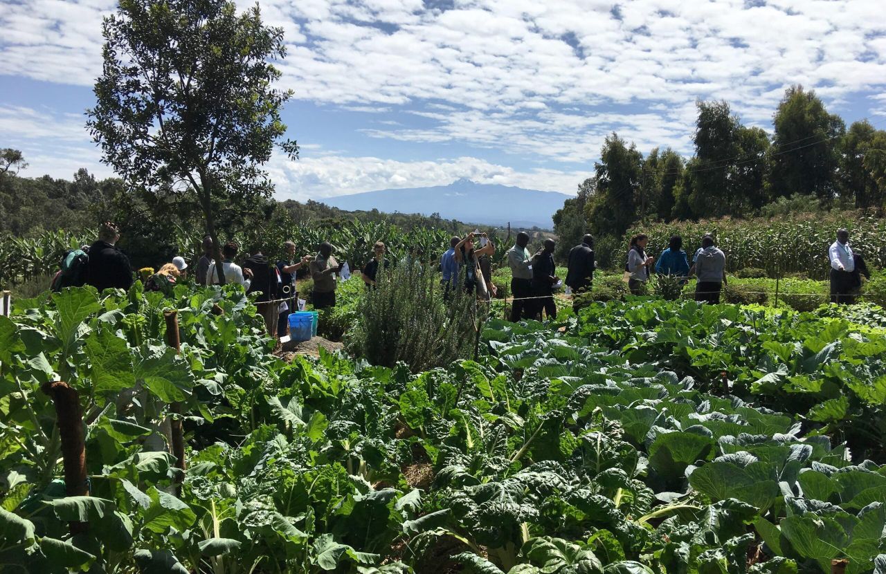 Harper Adams researchers say traditional plants could ease hunger in Kenya