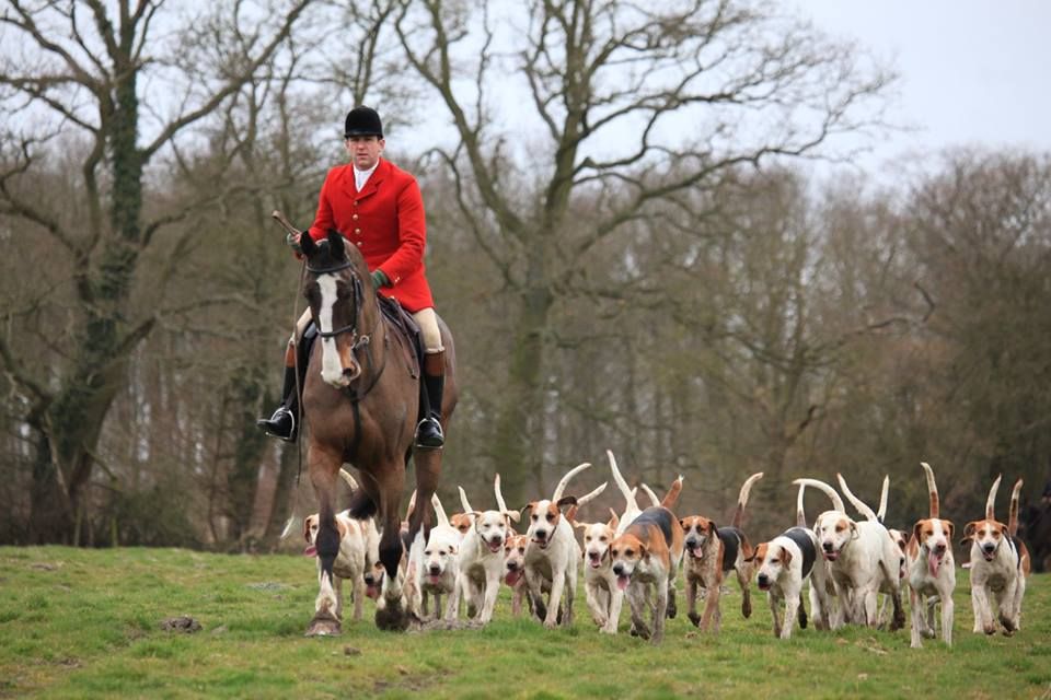Defra advances trail hunting ban as consultation opens to public