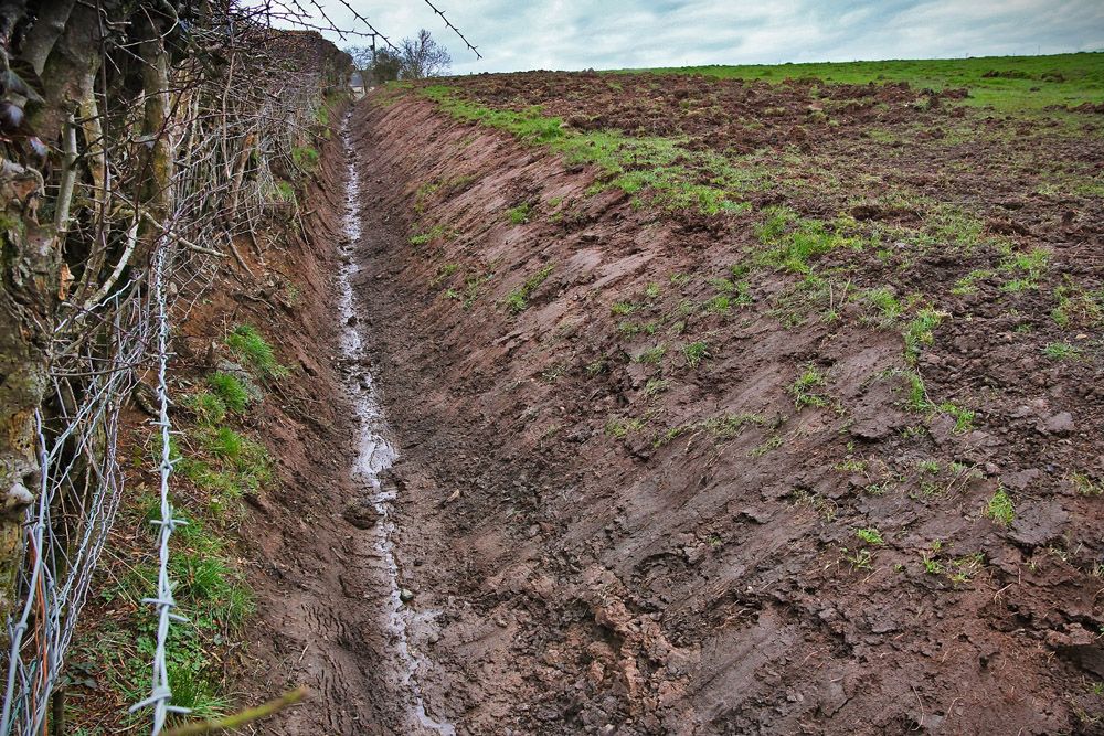 Farm Improvement Scheme will be crucial to Northern farmers – UFU