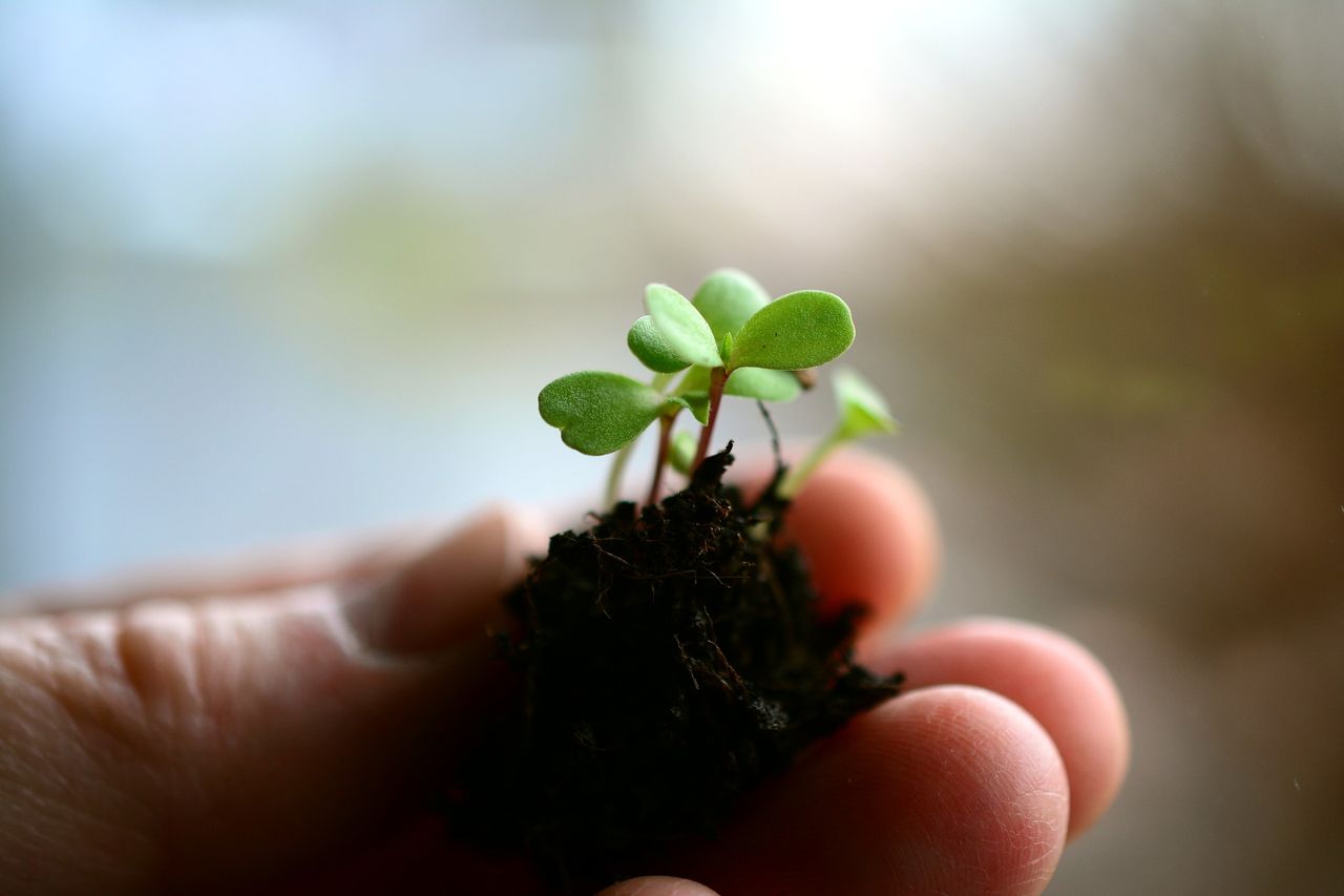 Defra: New £800k funding pot for development of biosecurity technologies
