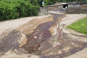 Supermarket-supplying farm fined £37,184 for river pollution