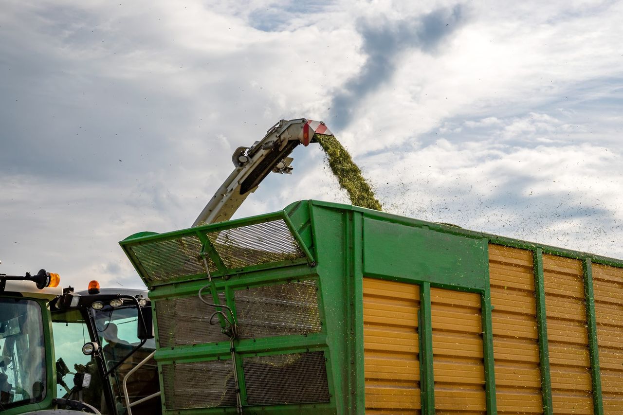 UK report: Farmers advised to assess feed stocks following dry weather spell