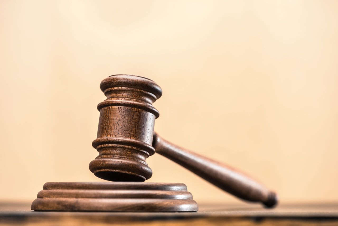 NI farmer banned from keeping animals after welfare investigation