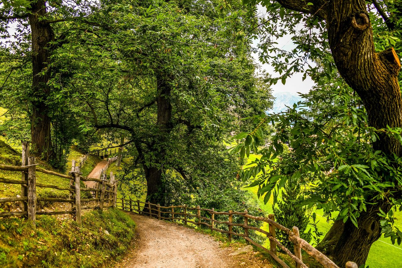 Farmers urged to apply to £10m woodland scheme
