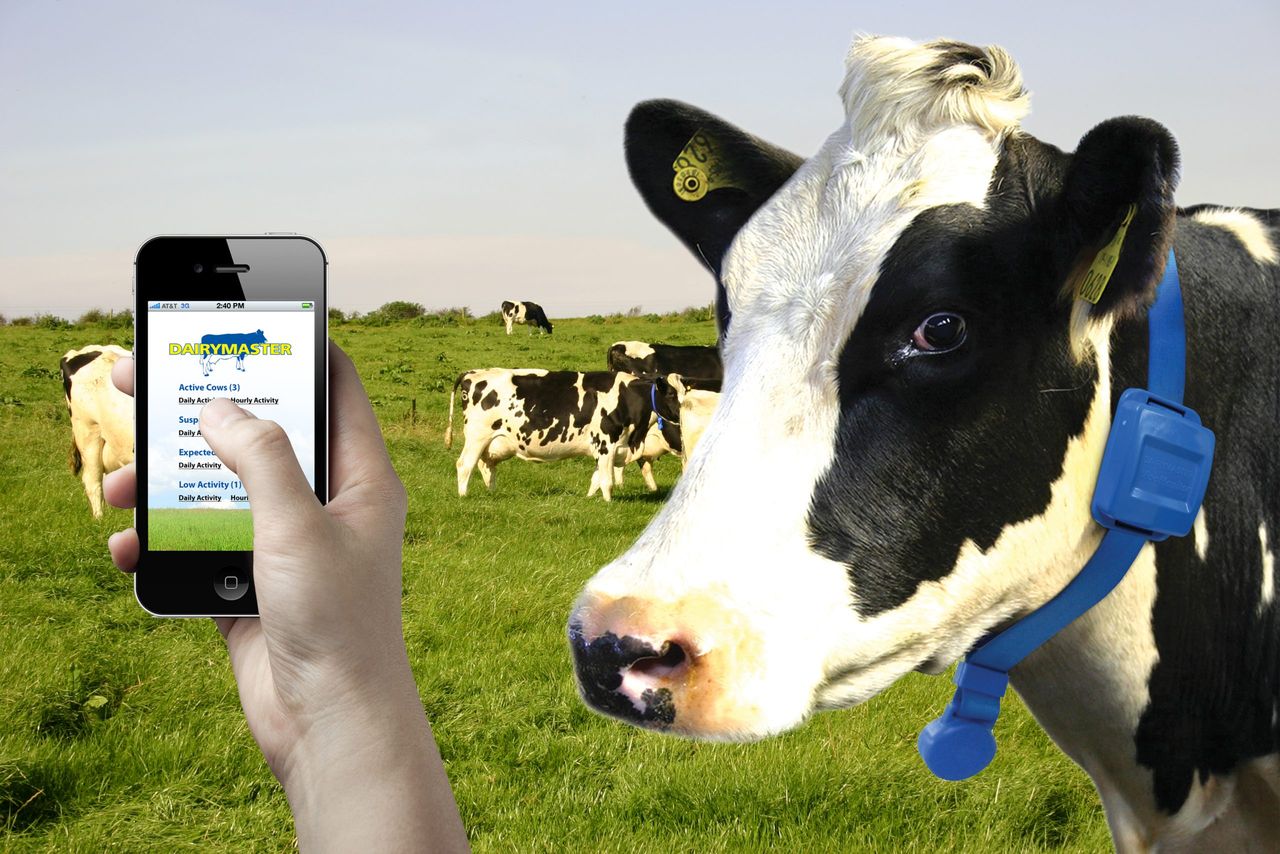 Arla in merger mood