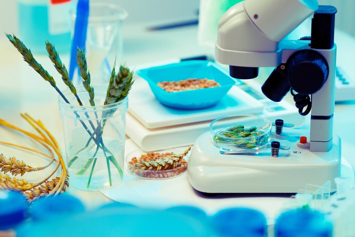 New rules to come into force in the US as Obama signs GMO labelling bill into law