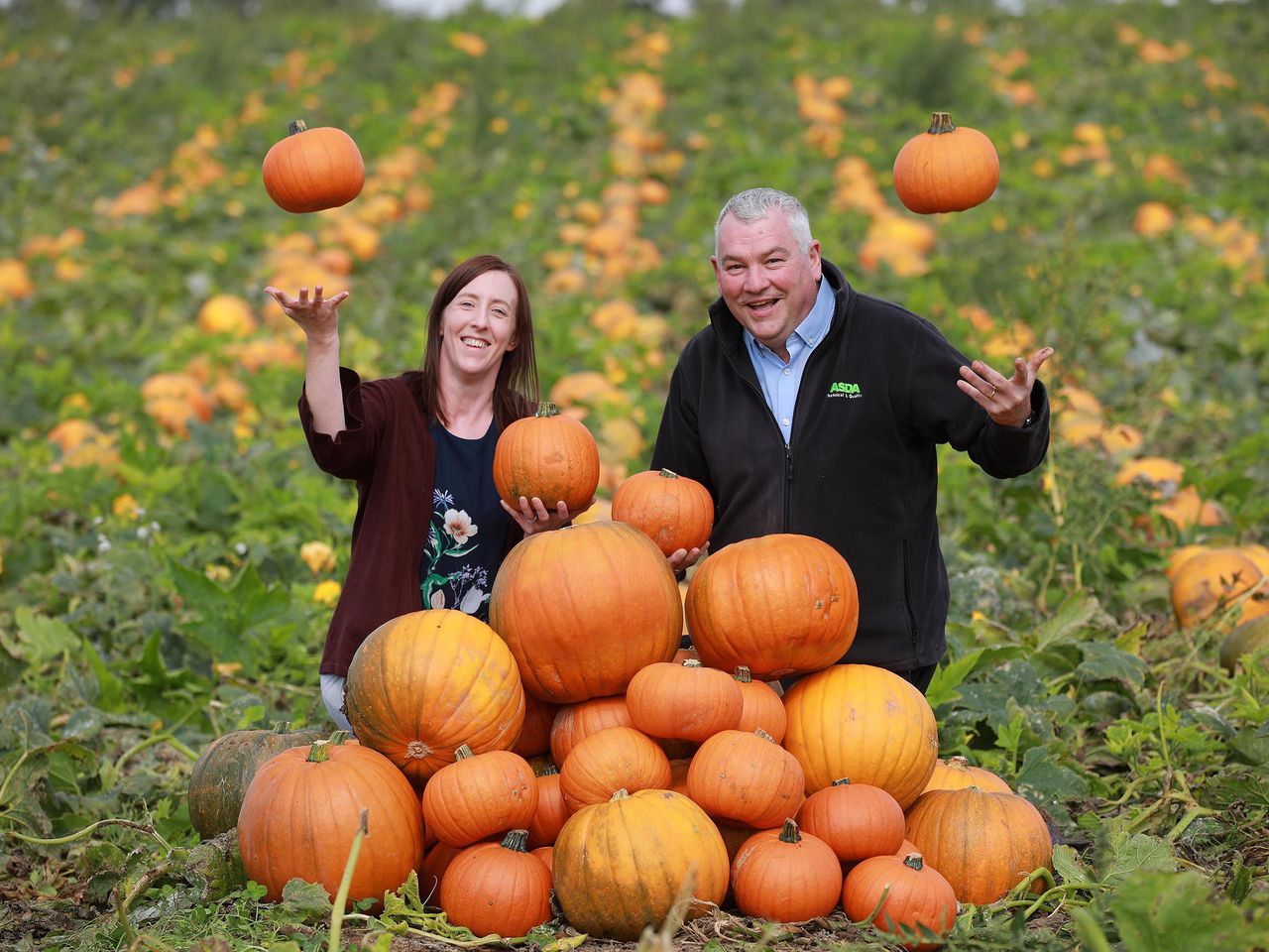 Gilfresh ‘carves’ the way as Asda’s first NI-based pumpkin supplier