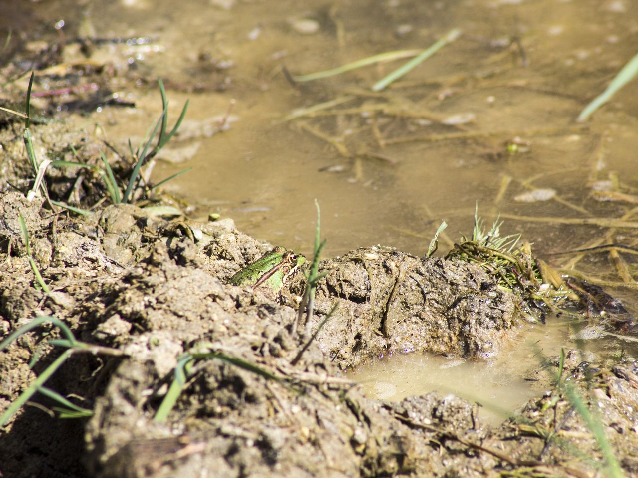 Farmer convicted and fined for water pollution