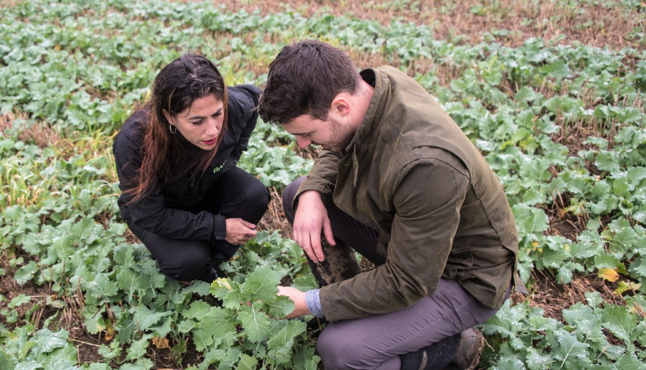 BASIS: 40 years of setting standards for UK farming