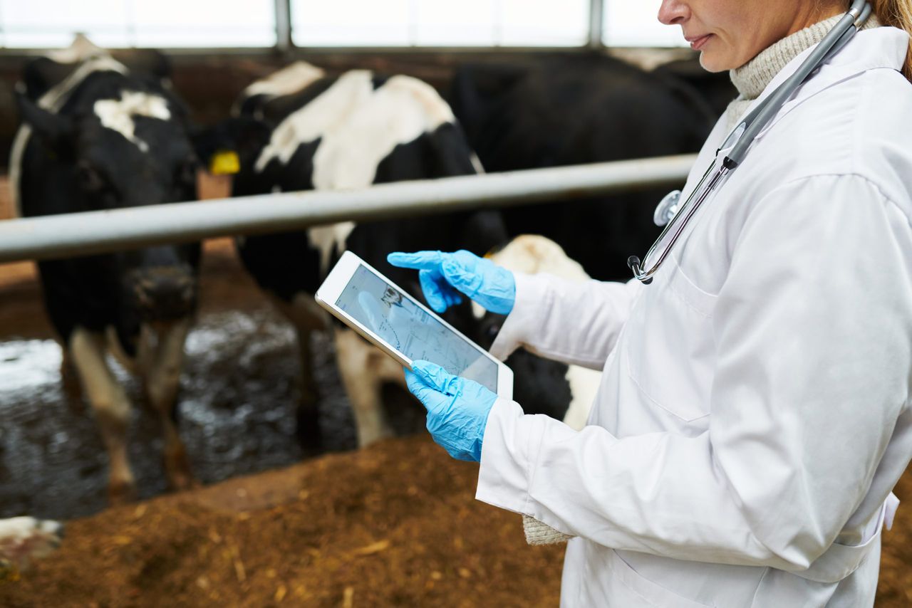 DAERA ‘regrets escalation’ of industrial action by group of veterinary officers