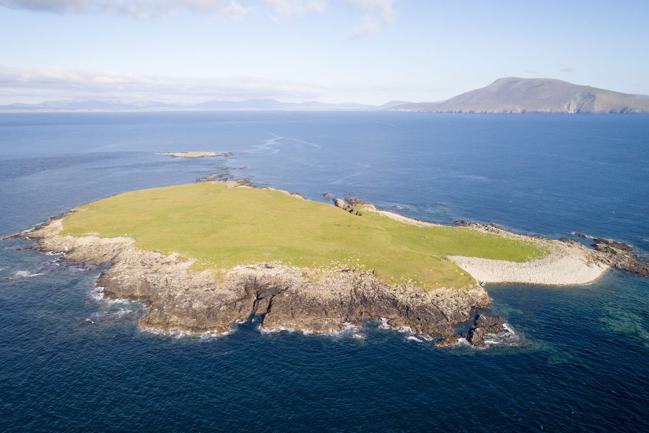 Social distancing the wild way: Private 55ac island guiding at €3,500/ac to go for auction