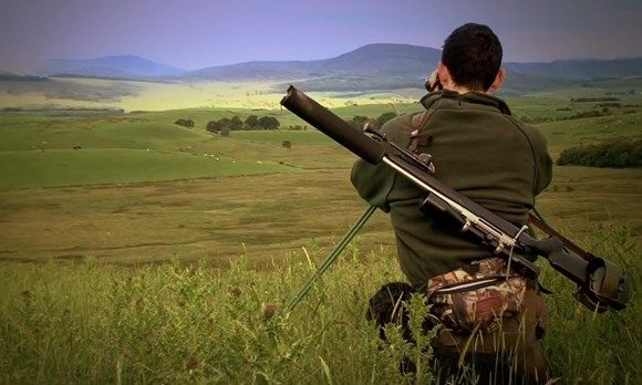 FLS launch 5-year deer management tender