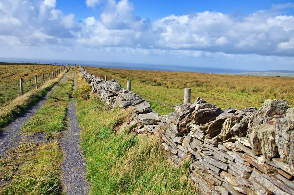 Number of farmers applying to farm assist falls (€88.4m paid out last year)