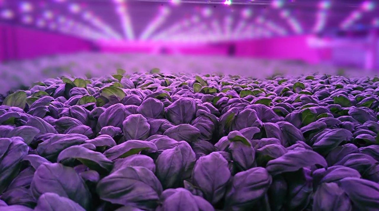 US firm invests £1.5 million in Scottish agri-tech firm