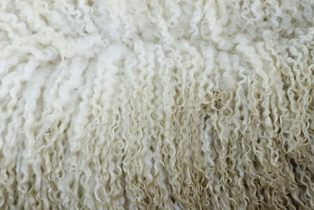 Wool prices expected to remain competitive as demand is ‘set to grow’