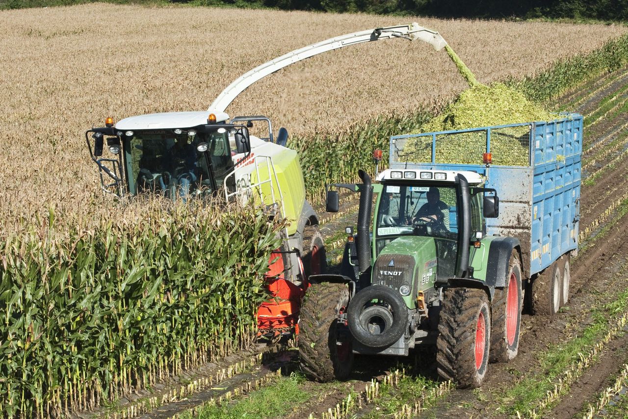 'EU is dragging its feet on GMO issues despite food safety sign off'
