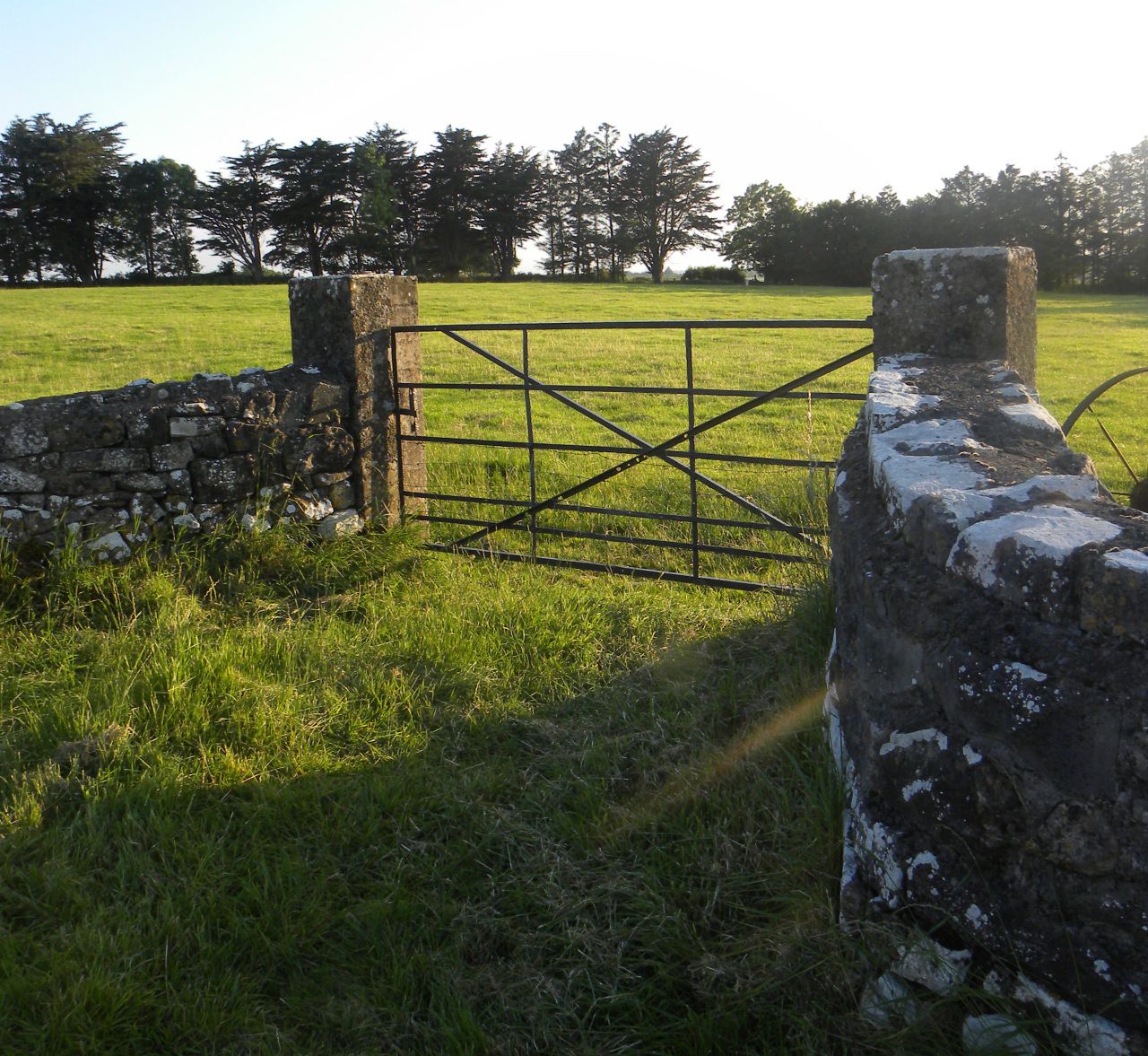 Efficient lamb production: 'Closing the gate could make you money'