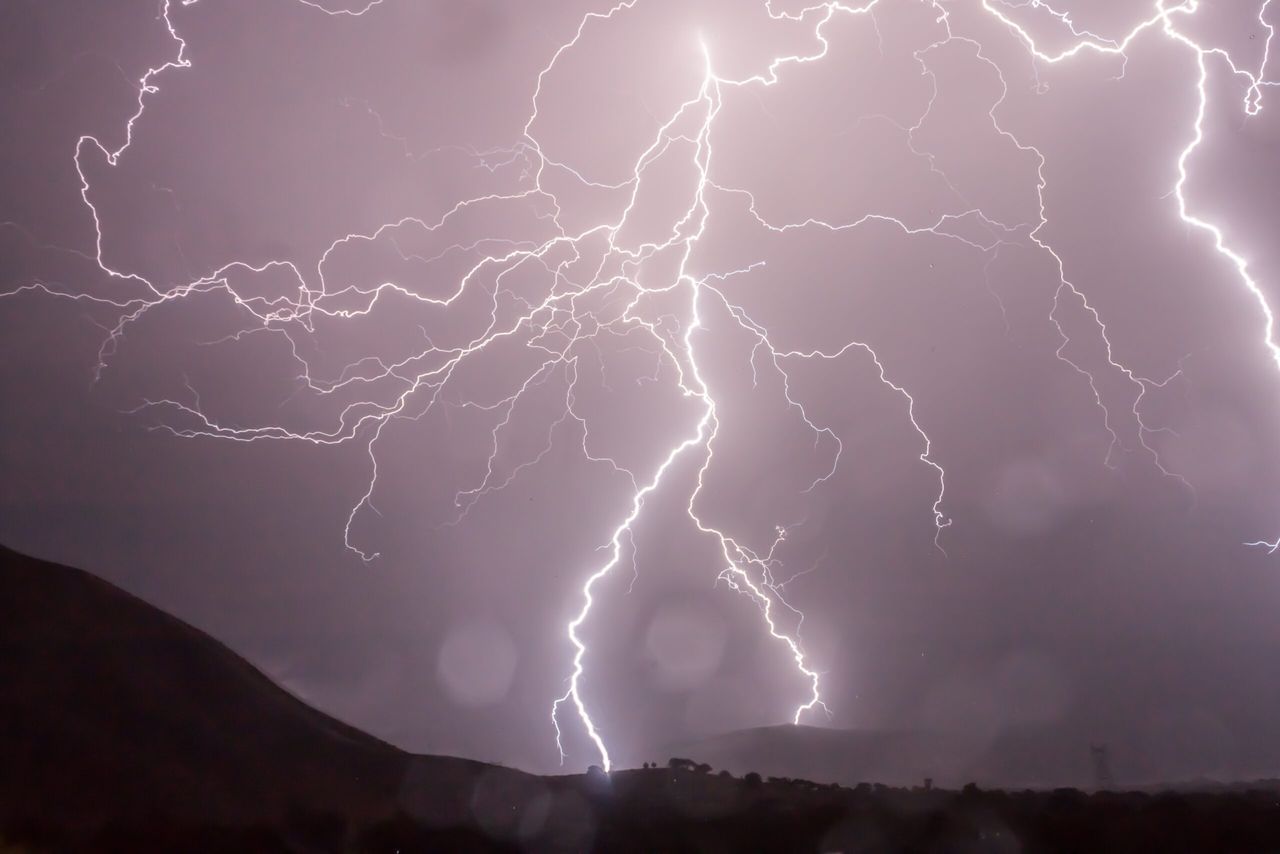 9 cows dead following lightning strike in Clare