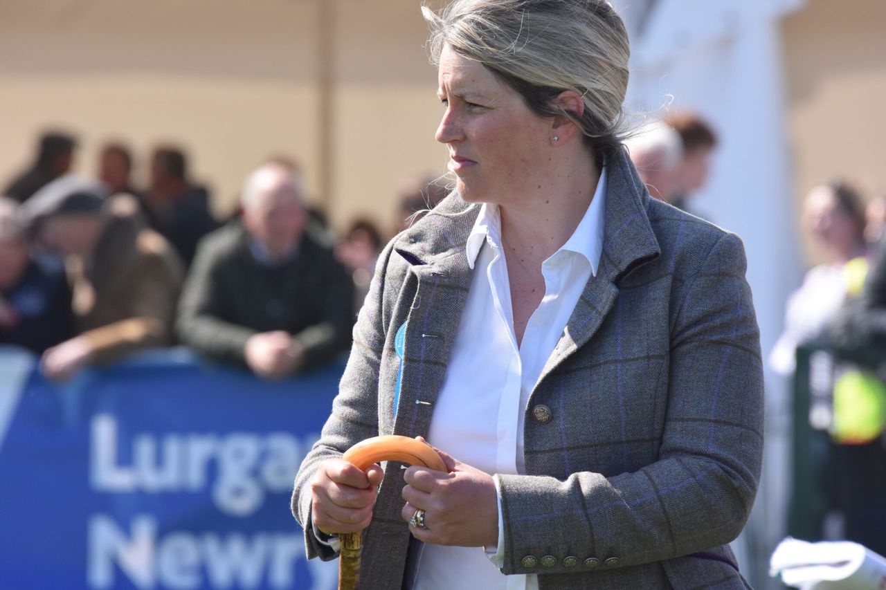 Results and pictures: All the action from the sheep rings on Balmoral Day 1