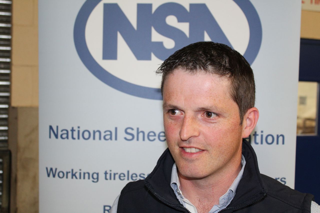 Grass and herb mixes hold particular promise for sheep farmers