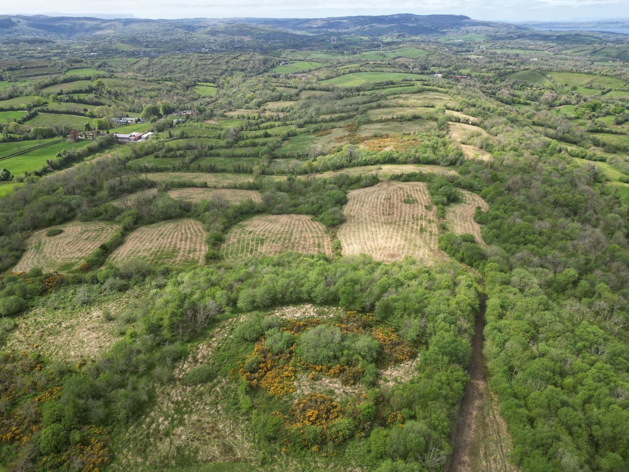 Ulster Wildlife buys 90ac of Fermanagh farmland for nature reserve