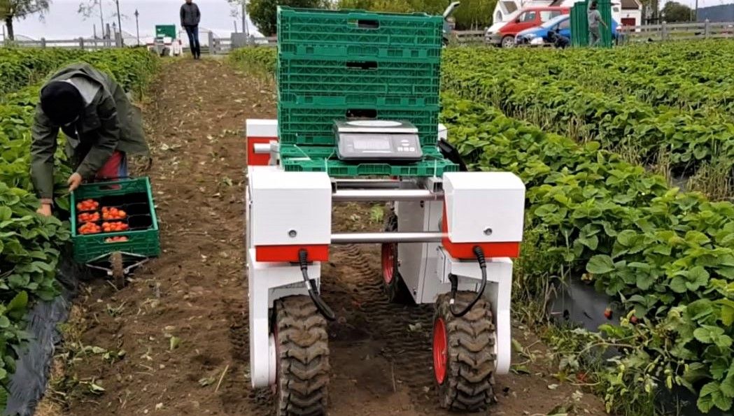 £6.4 million awarded to set up UK's first Global Centre of Excellence in Agri-robotics