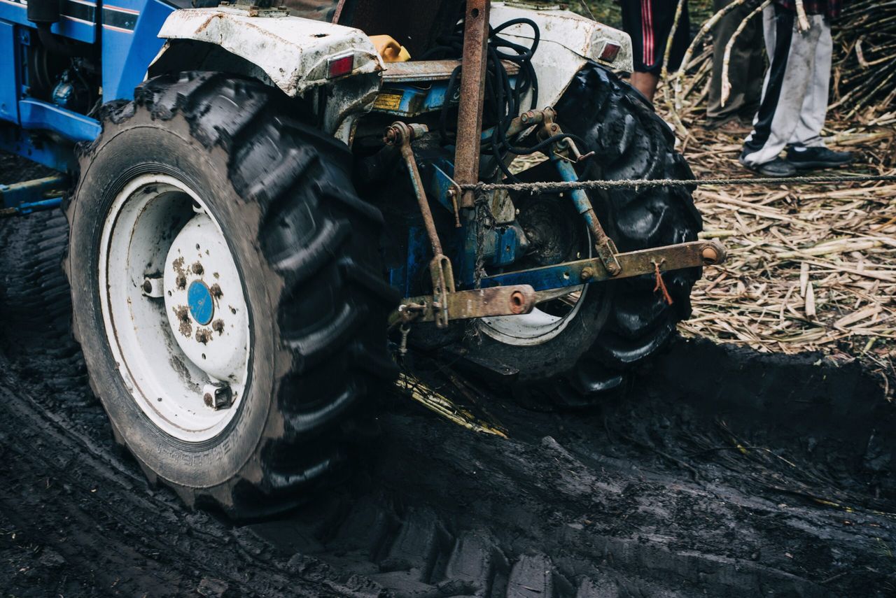 Machinery collisions 50% more likely during summer harvest time