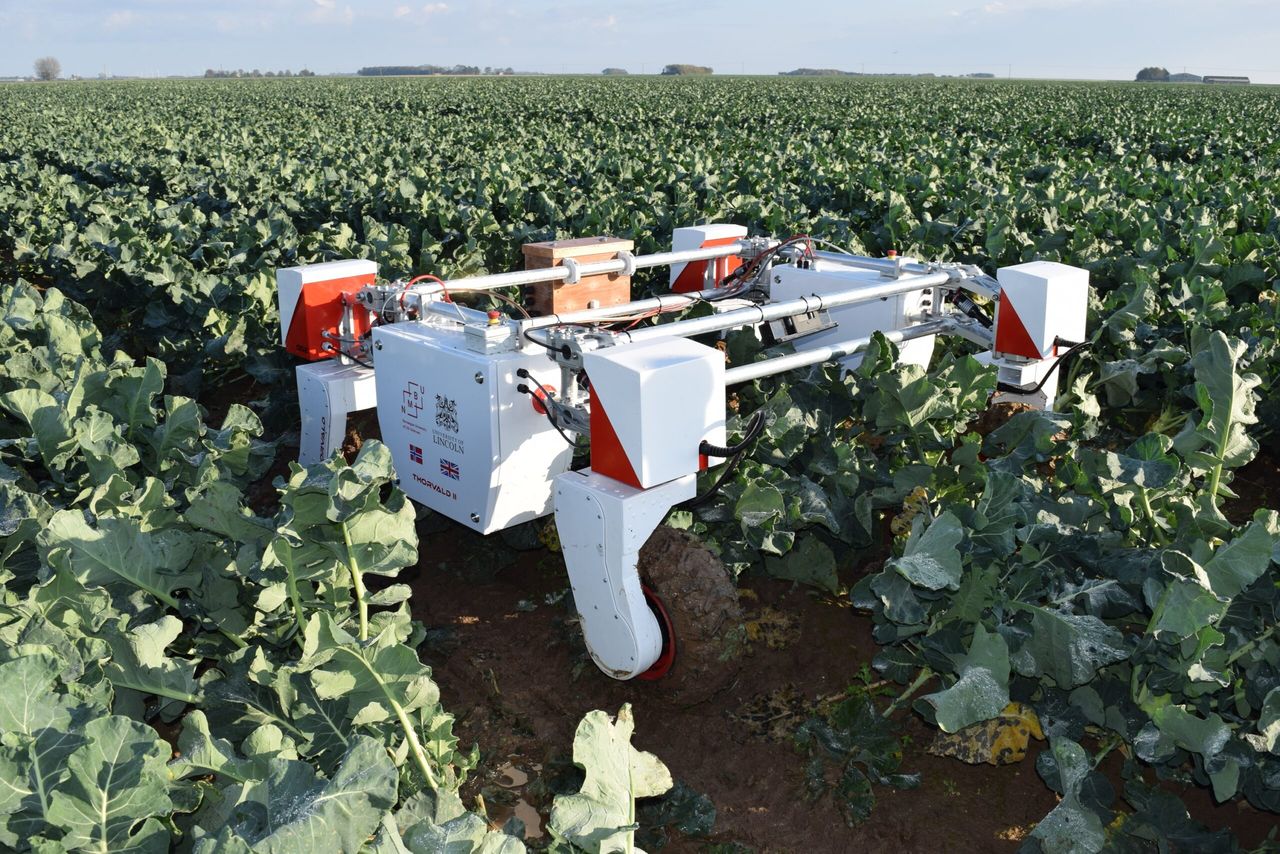 University to launch world's first doctoral agri-robotics training centre