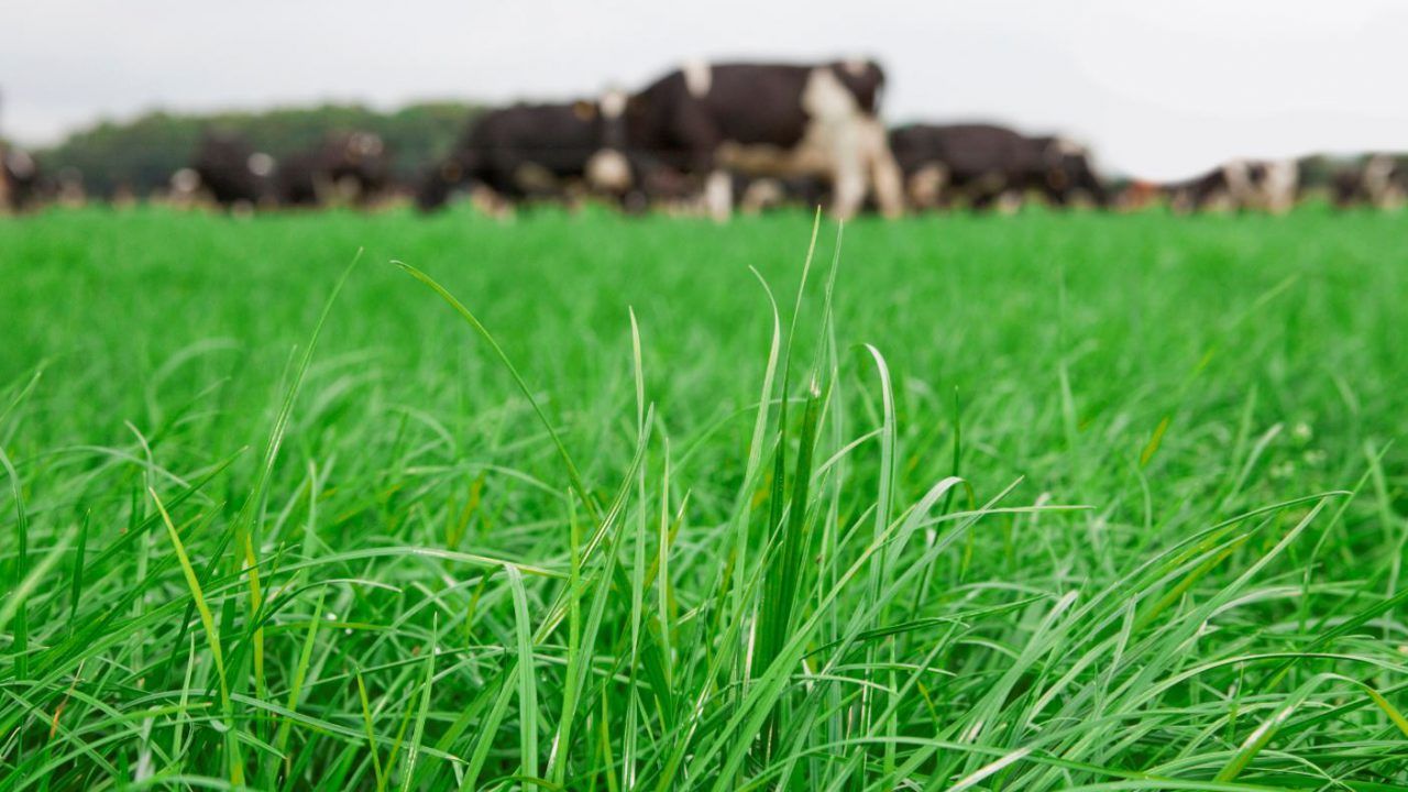 Low Carbon Agriculture Show advocates for 'Regenuary'