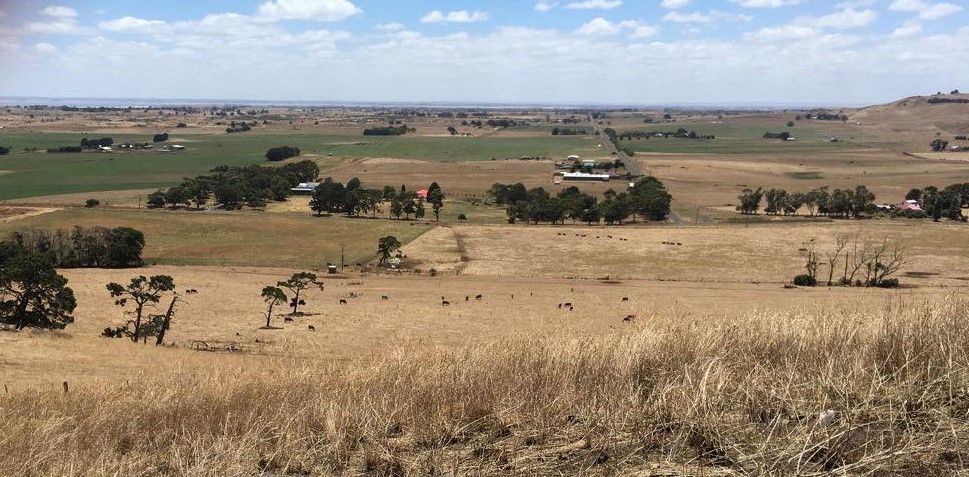 Dairy farming in a volcanic valley and exporting to China: Heather reports from Australia