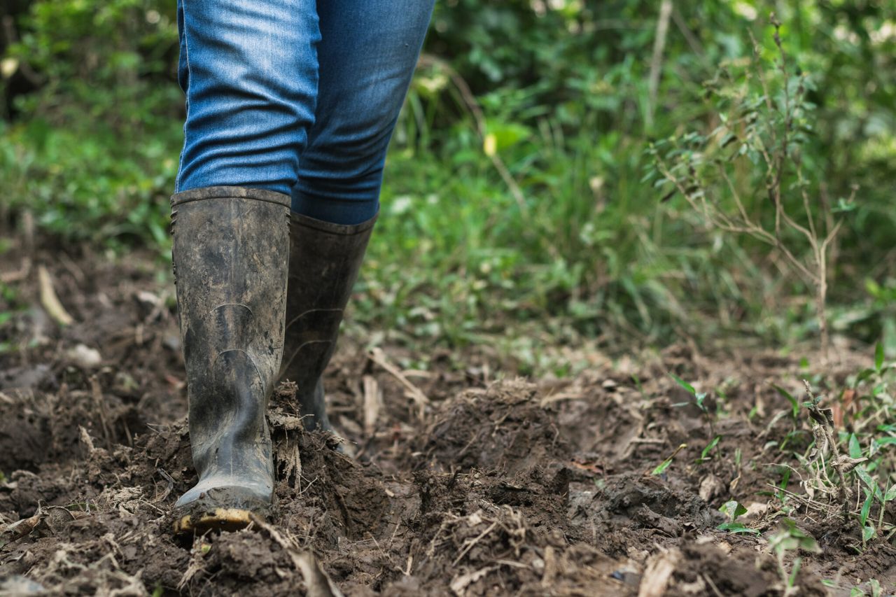 UFU announces dates for January roadshow meetings