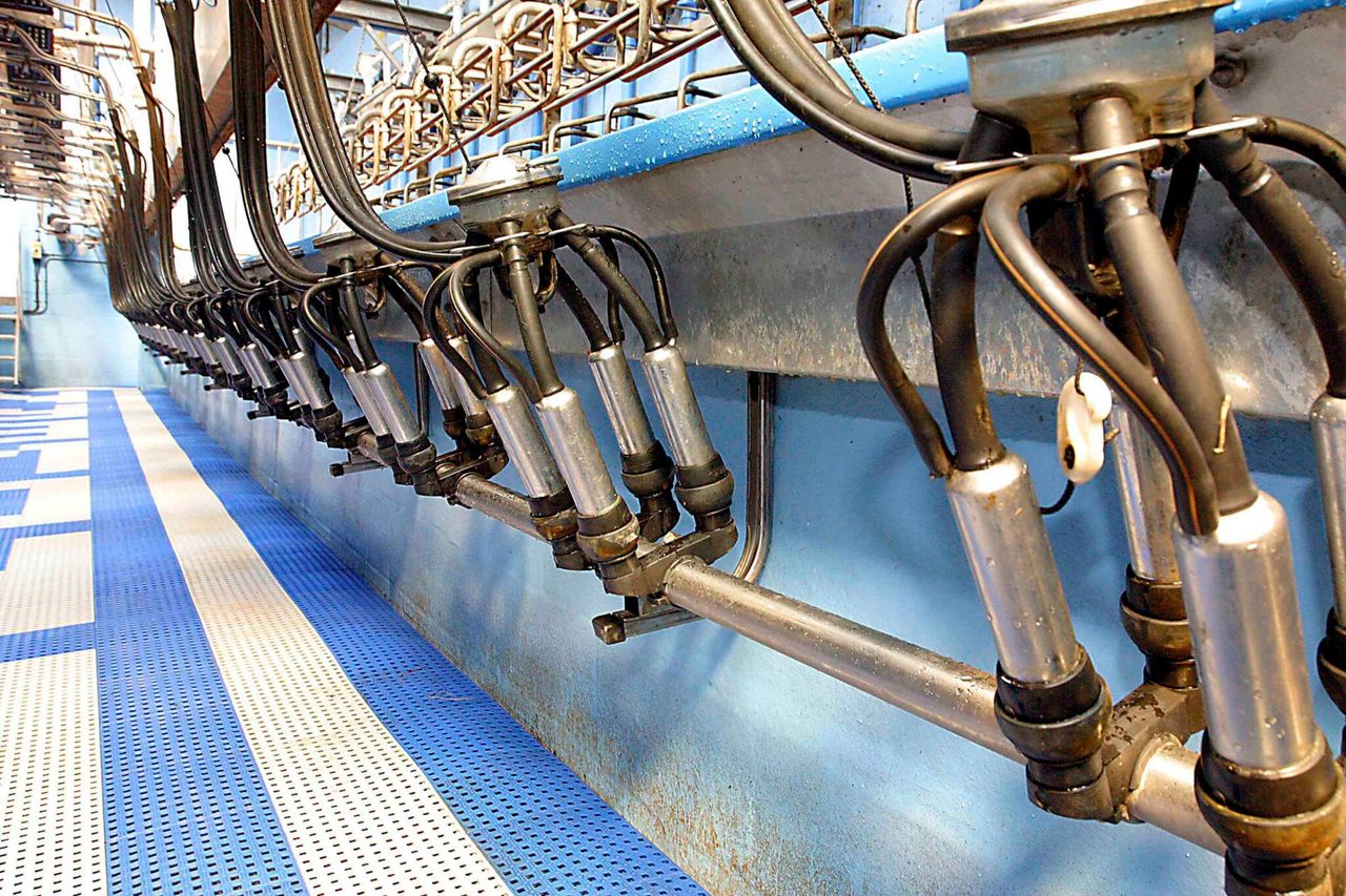 Milk recording: Is it time to complete the first of 2024?