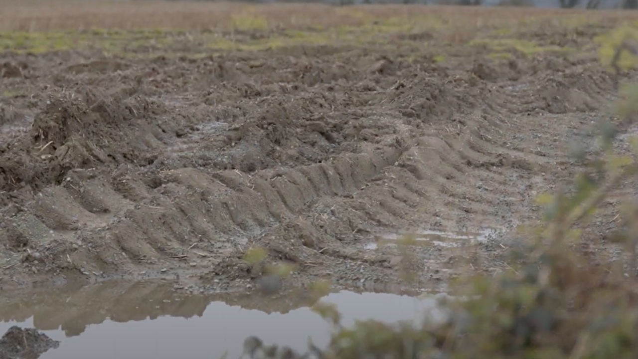 Research: Arable farmers could lose 'nearly' £1 billion