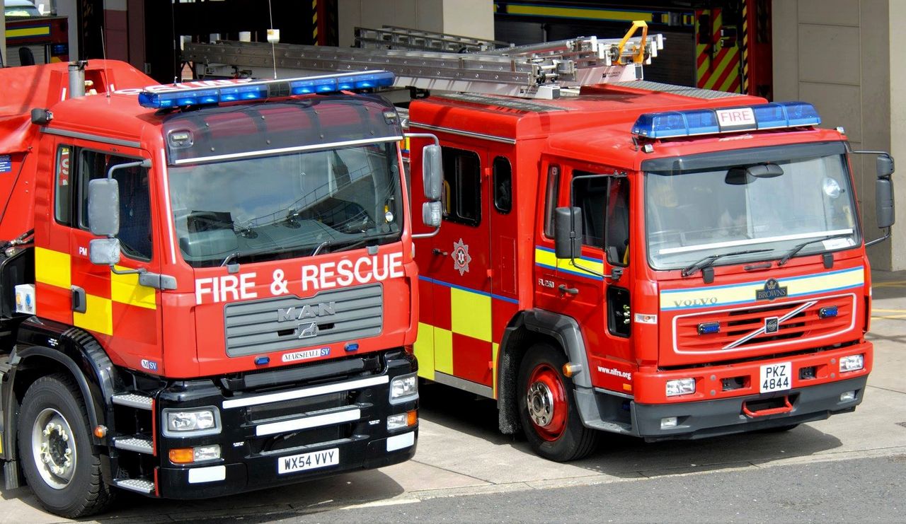 Firefighters called in to rescue cow stuck in water-filled ditch