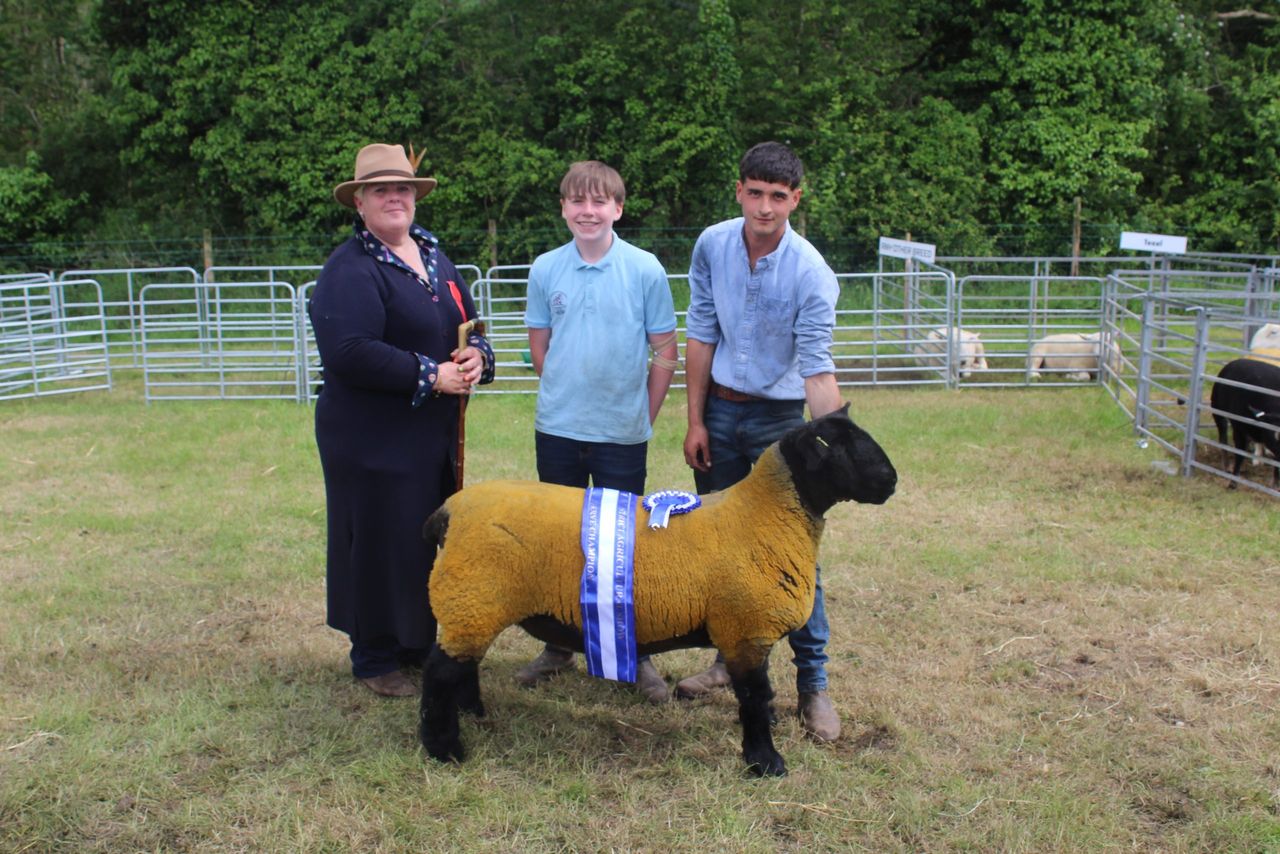 More success for Crawford Brothers at Saintfield Show 2026