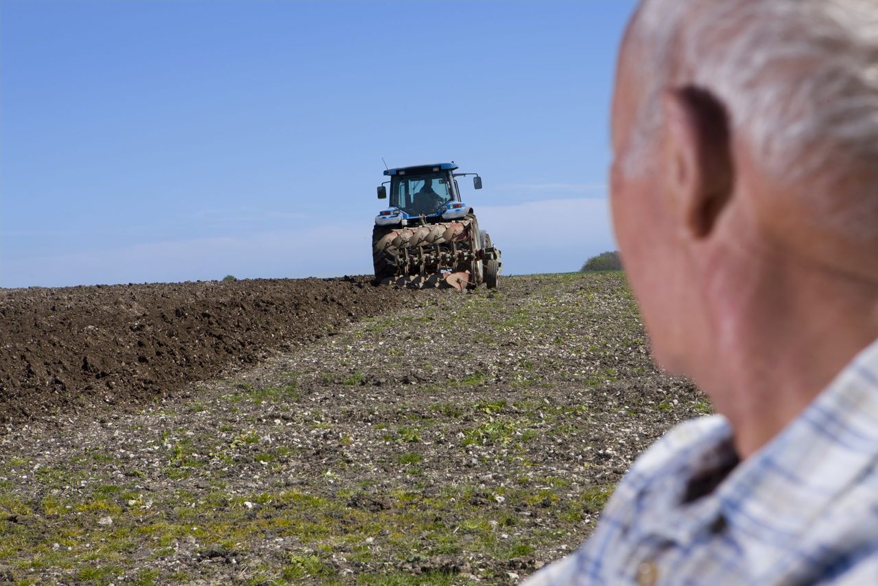 NI farmers need ‘straight answers’ on available support – UFU
