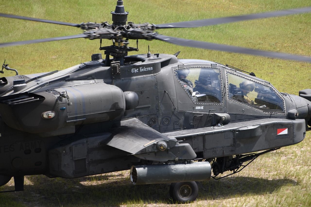 Cow euthanized following ‘military helicopter exercise’ in Netherlands