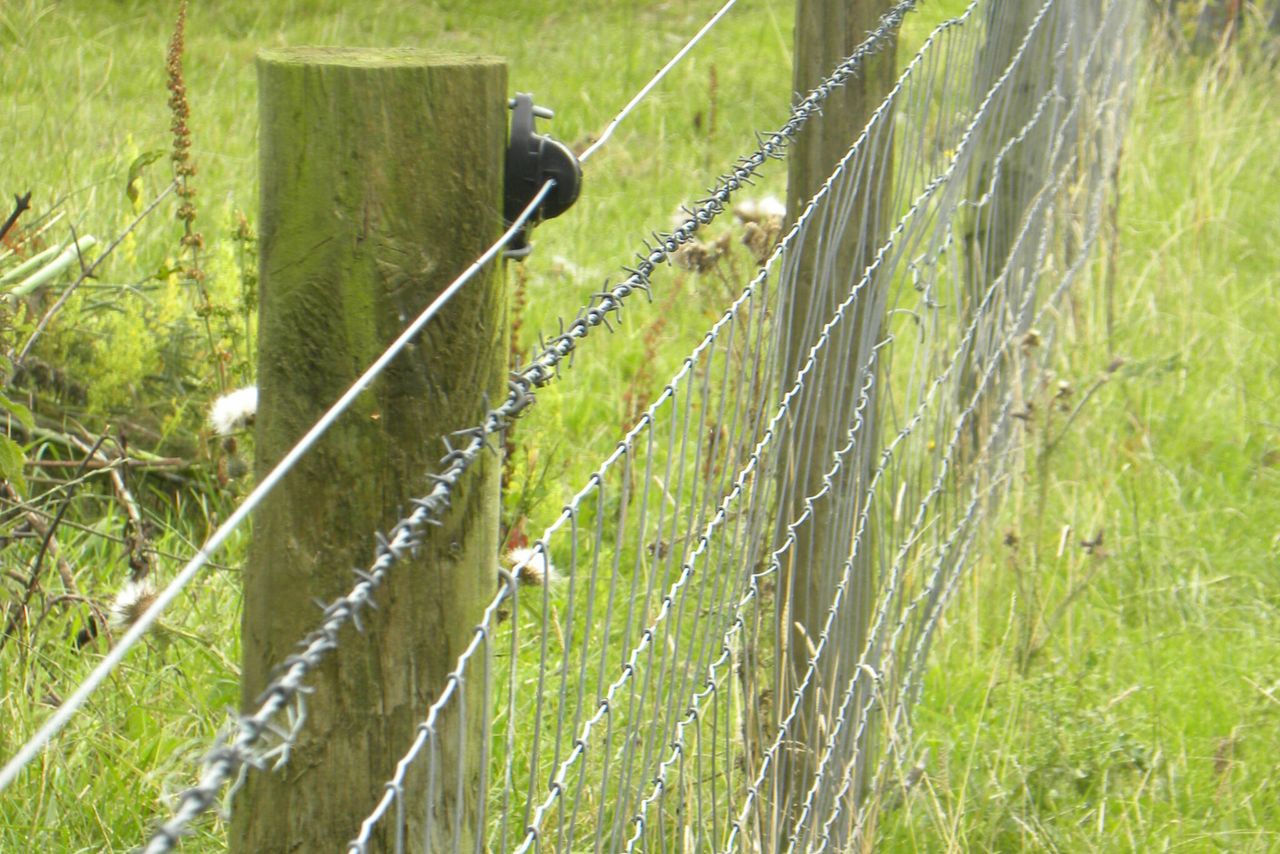 Delay to Environmental Farming Scheme Tranche 3 as department calls for review