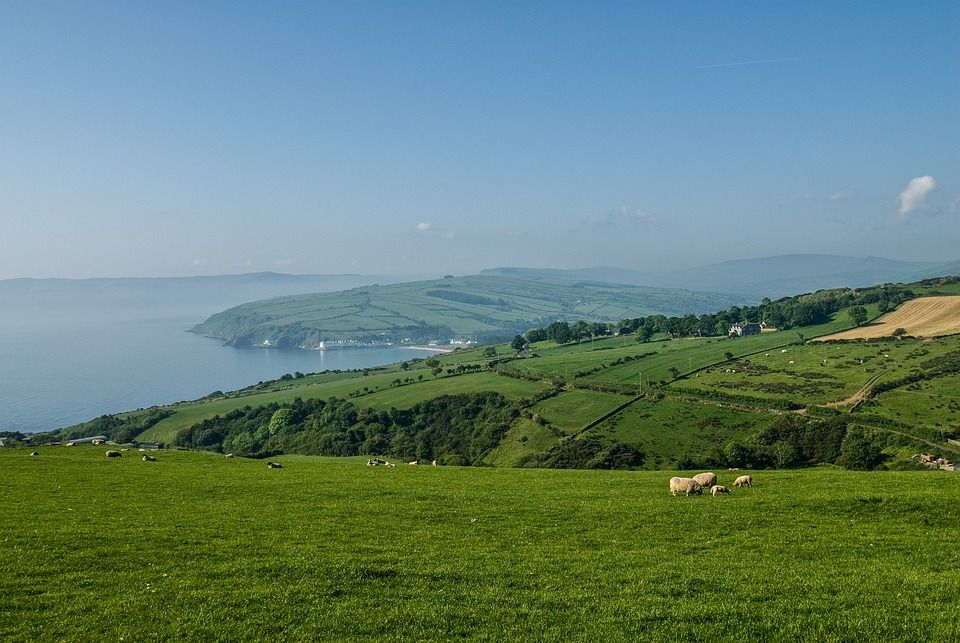 DAERA seeks public input on NI emissions targets